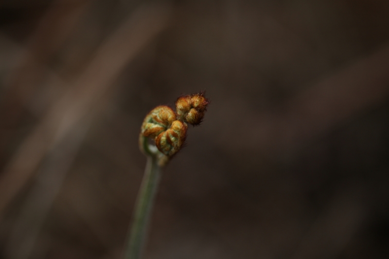 2012.04.05-7 192.jpg
