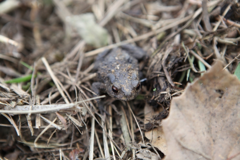 2012.04.05-7 279.jpg