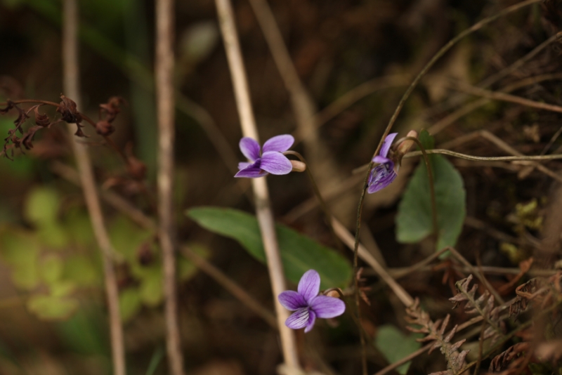 2012.04.05-7 347.jpg