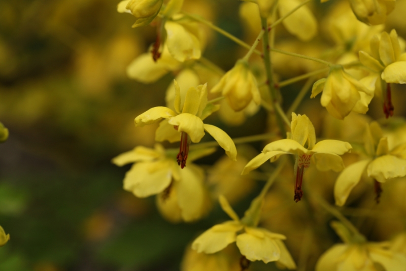 2012.04.05-7 485.jpg