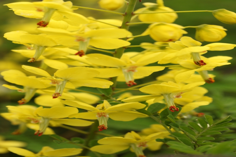  2012.04.05-7 509.jpg
