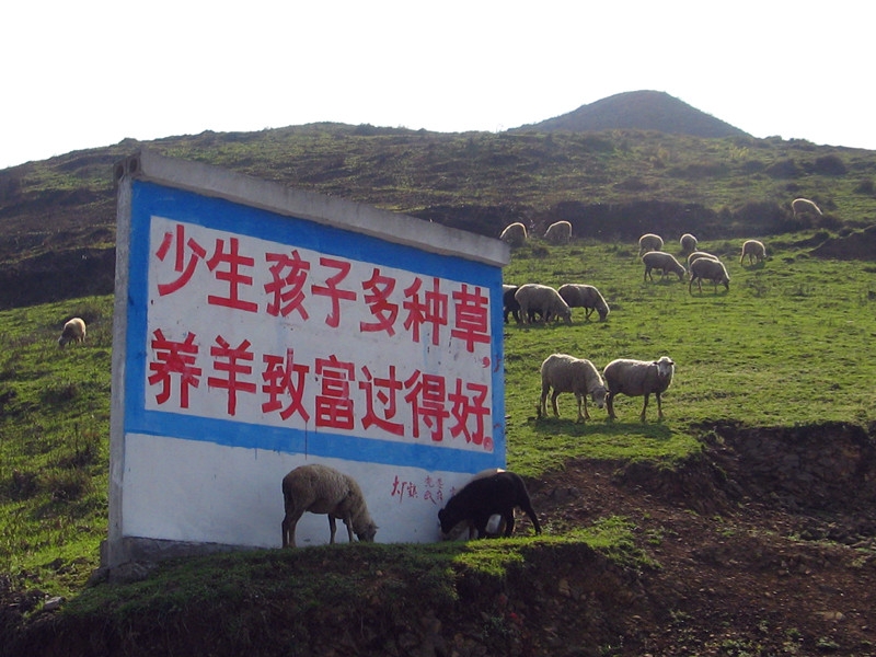 ţ.jpg