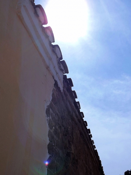 DSCF8775.jpg