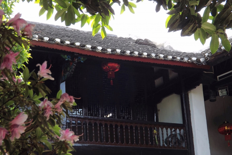 DSCF8792.jpg