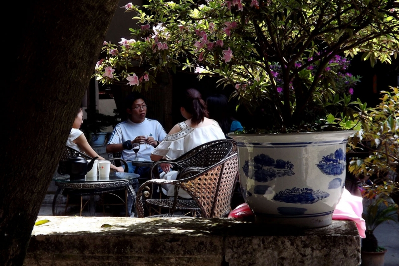 DSCF8784.jpg