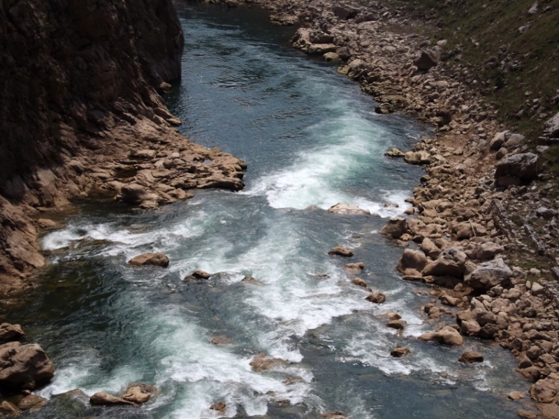 DSCF1196_conew1.jpg