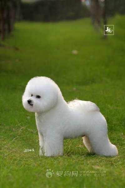19973088.snap_m.jpg