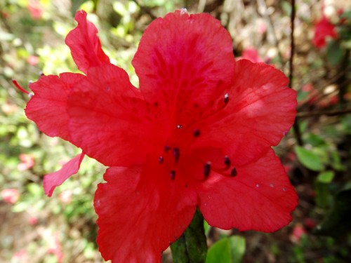 DSCF1668_conew2.jpg