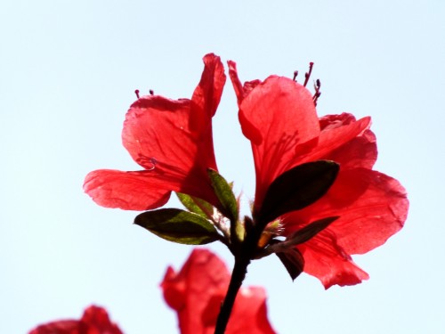 DSCF1682_conew2.jpg