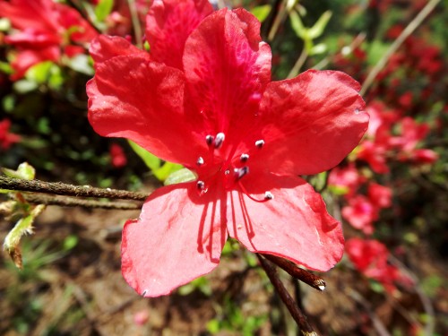 DSCF1685_conew2.jpg
