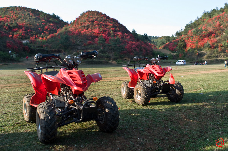nEO_IMG_DSC_4656.jpg