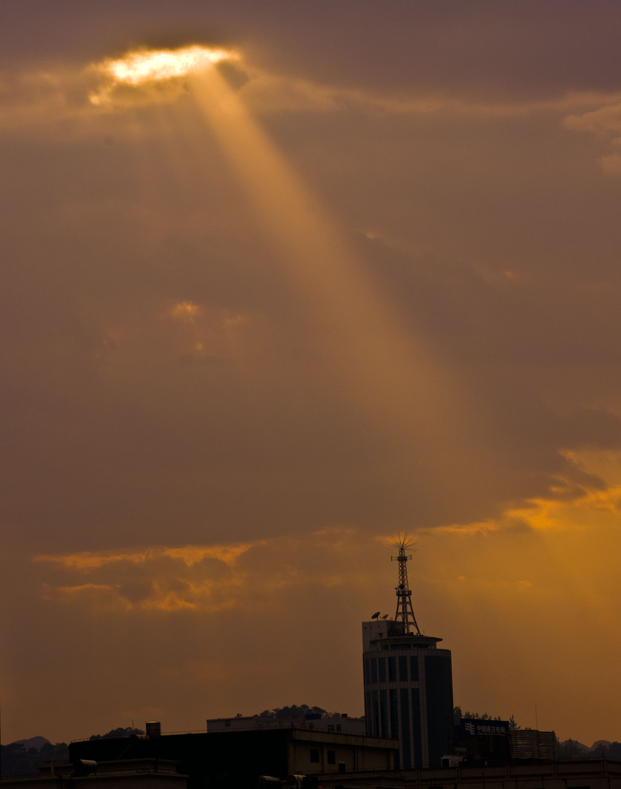 _DSC8011.jpg