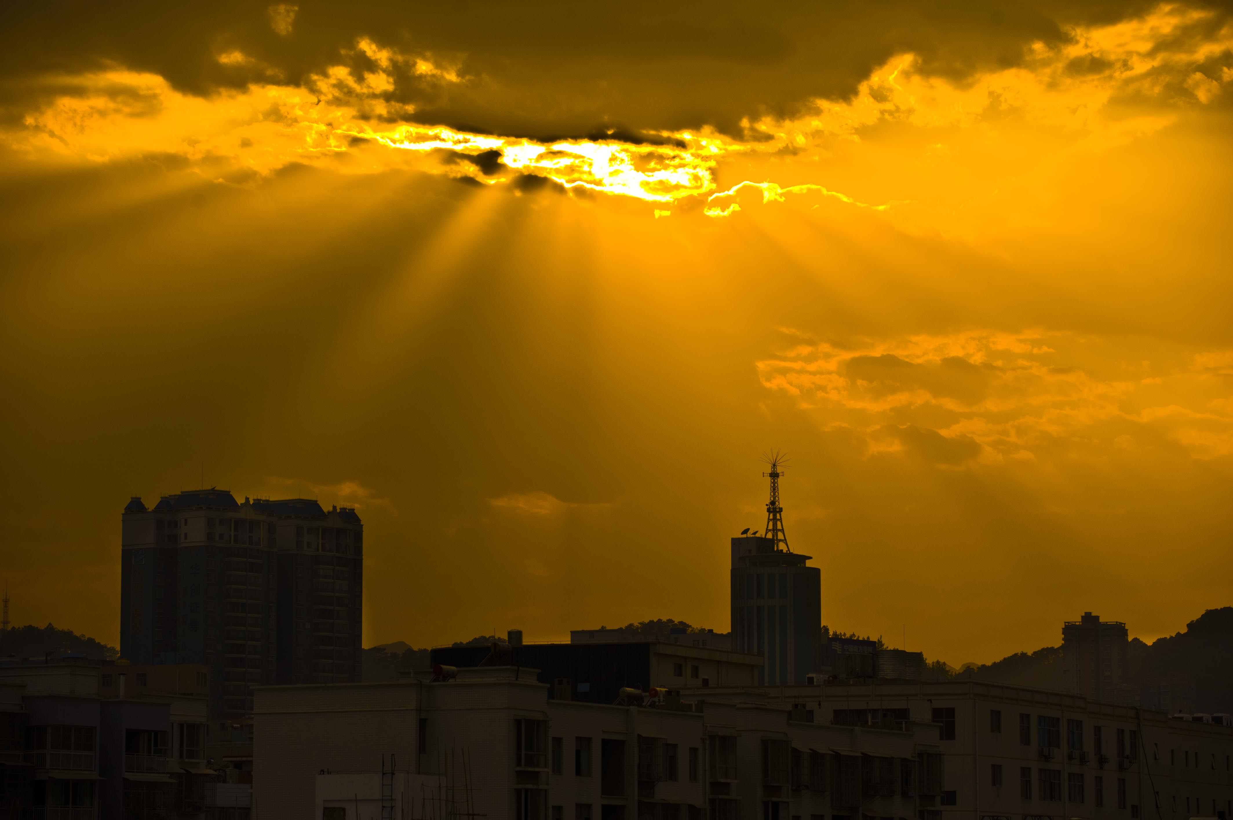 _DSC8120.jpg