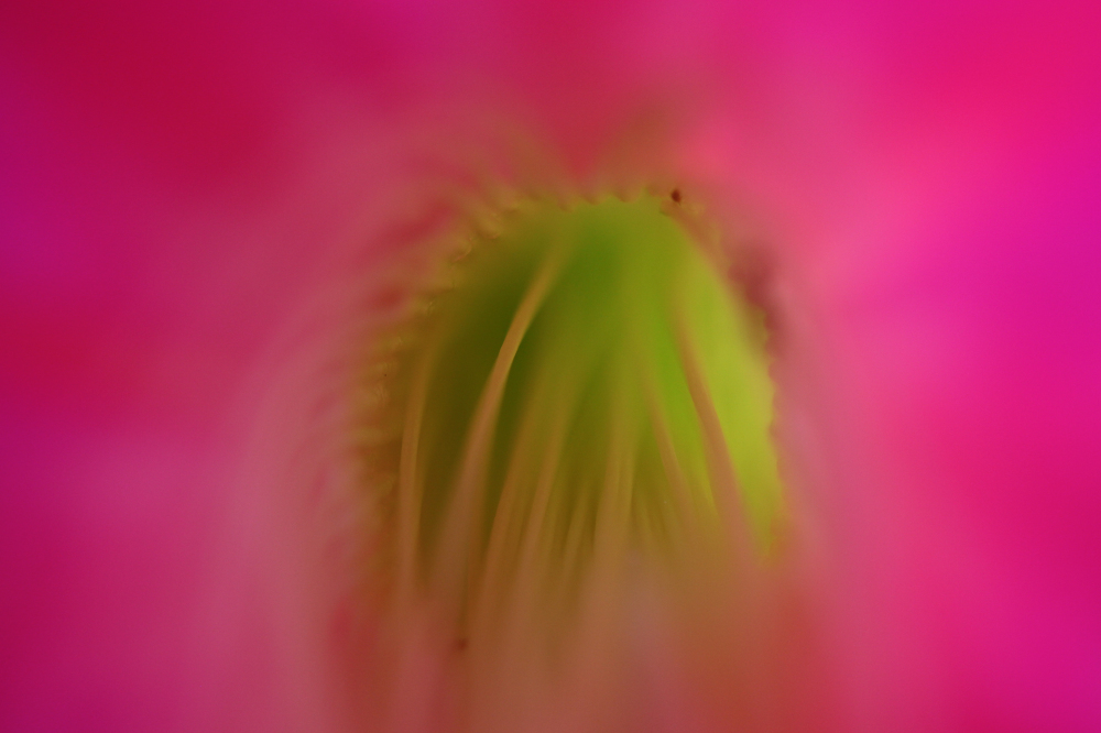 2012-05-07 162.jpg