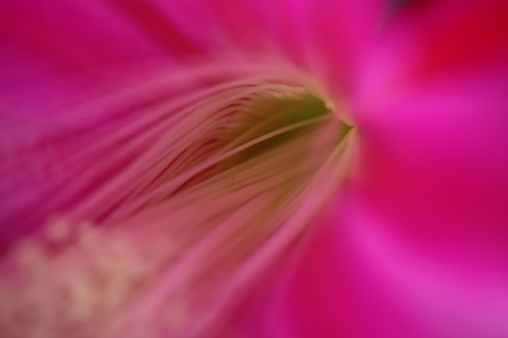 2012-05-07 240.jpg