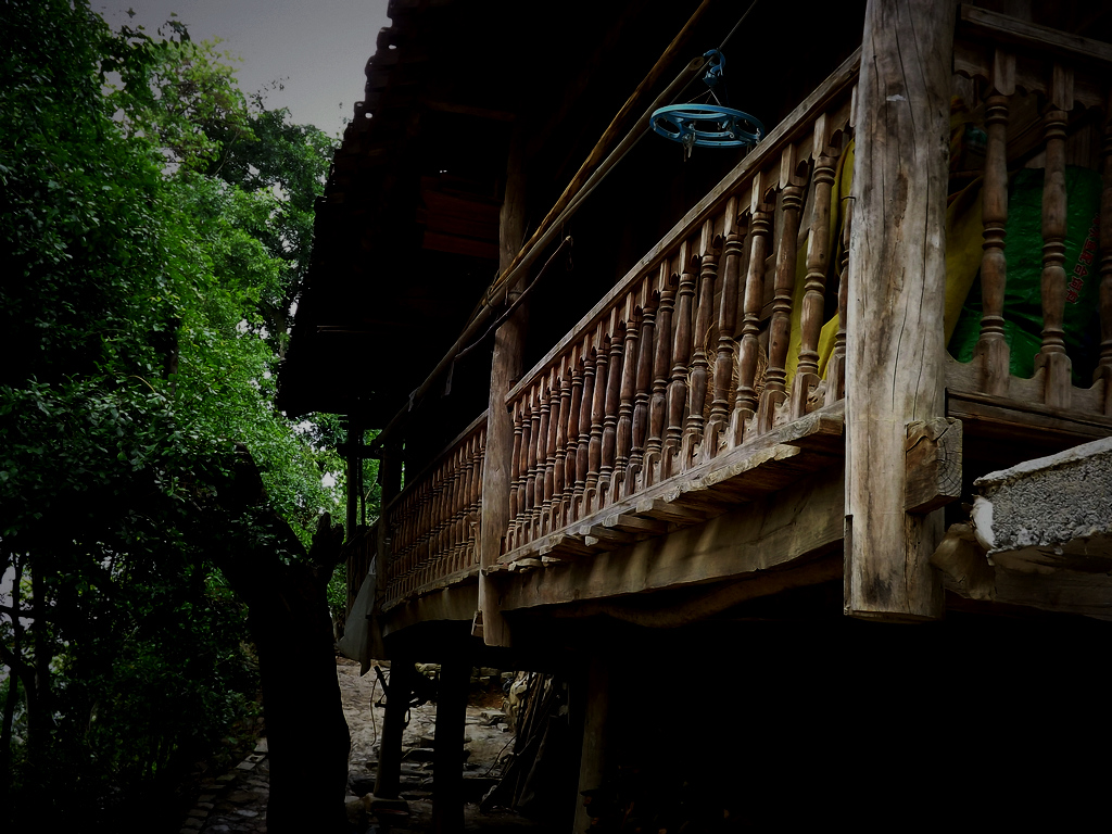 DSCF0653.jpg