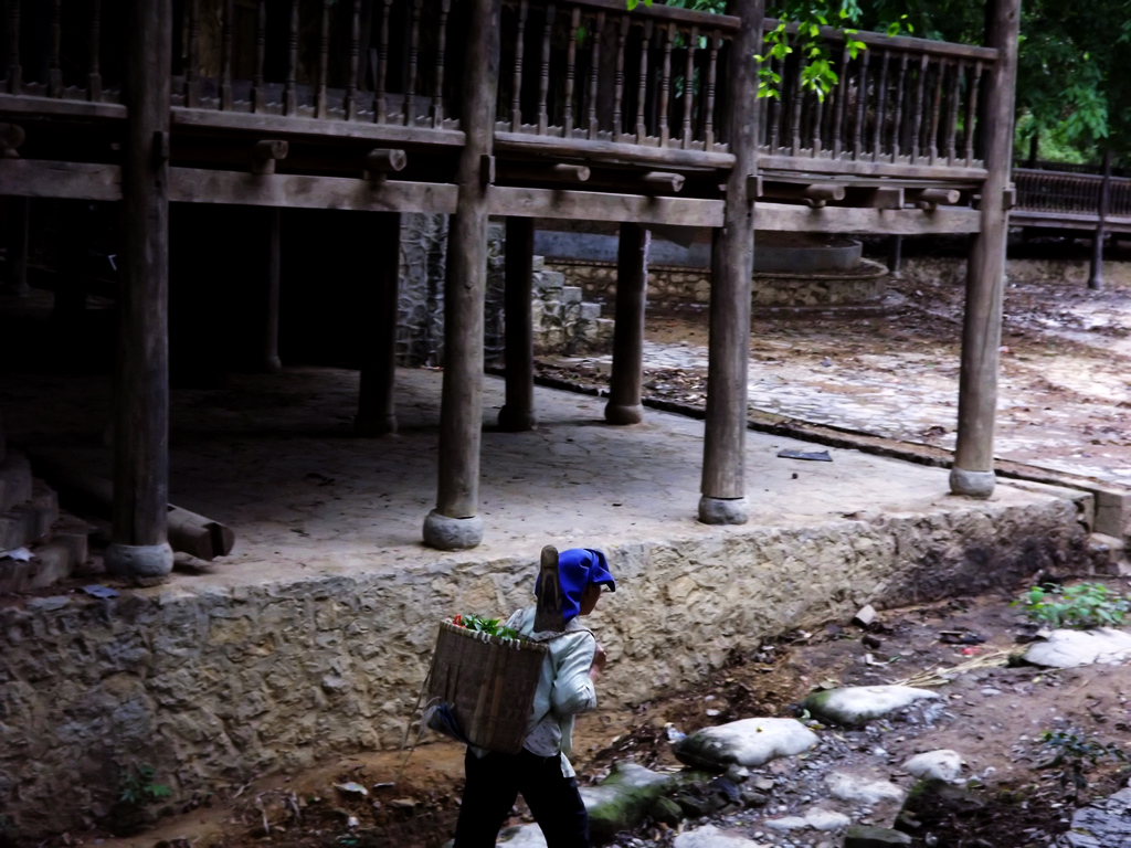 DSCF0700.jpg