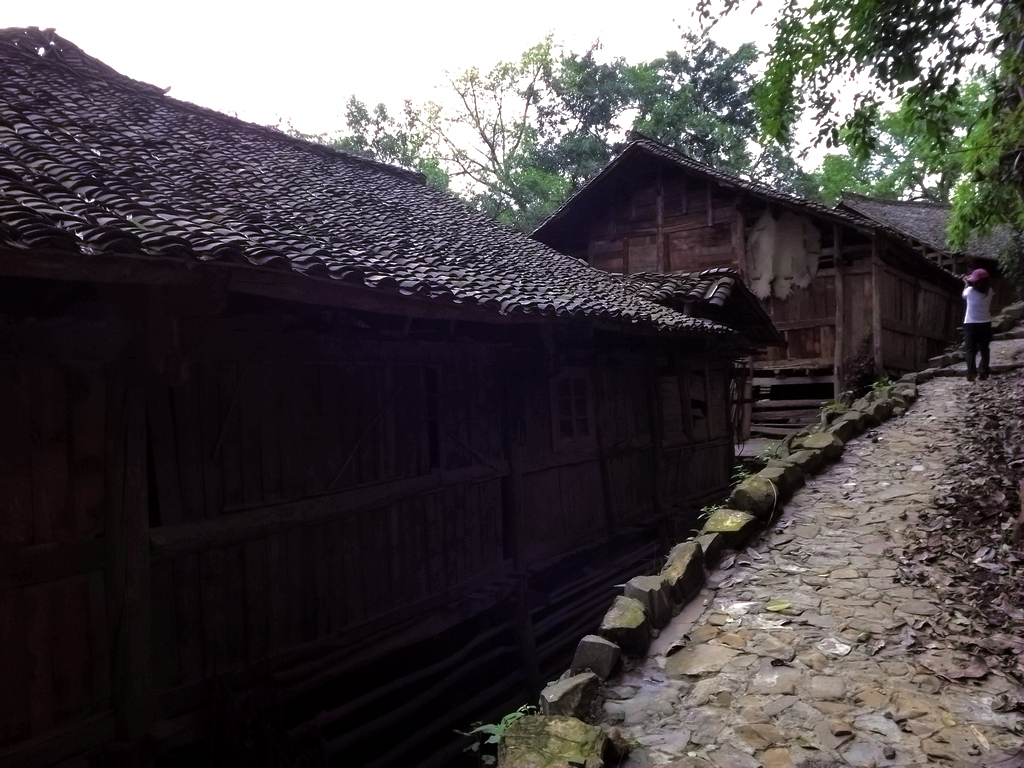 DSCF0711.jpg