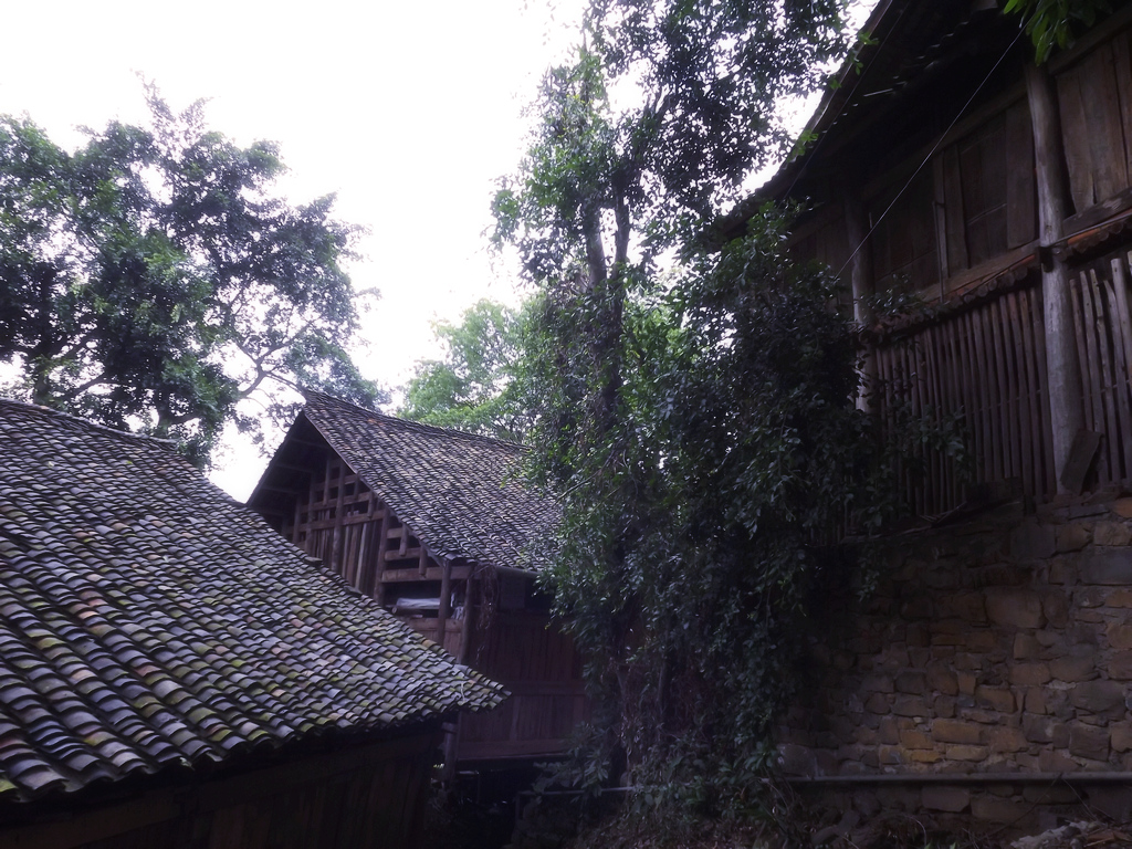 DSCF0712.jpg
