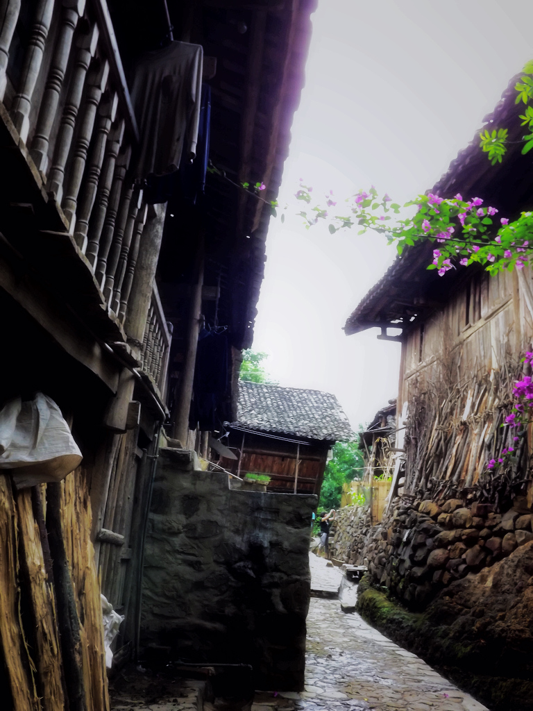 DSCF0716.jpg