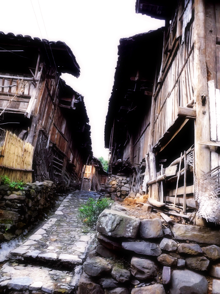 DSCF0718.jpg