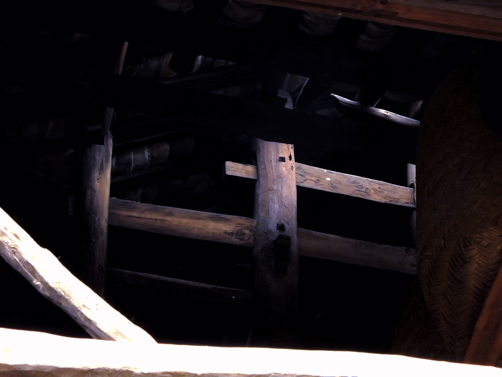 DSCF0726.jpg