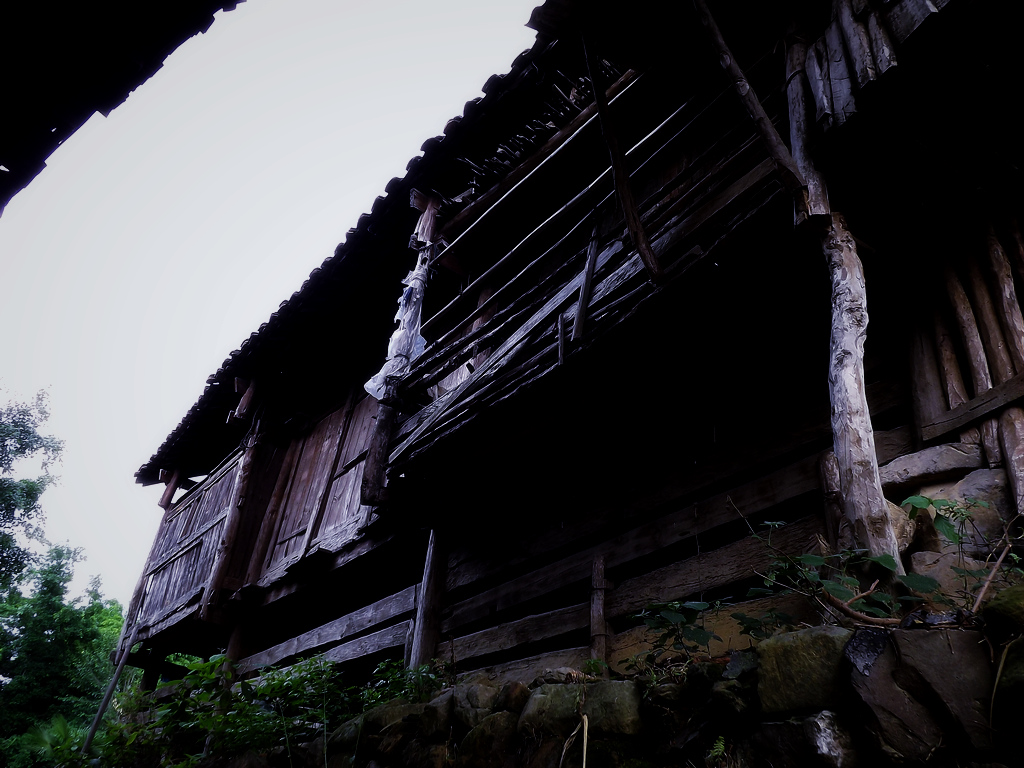 DSCF0728.jpg