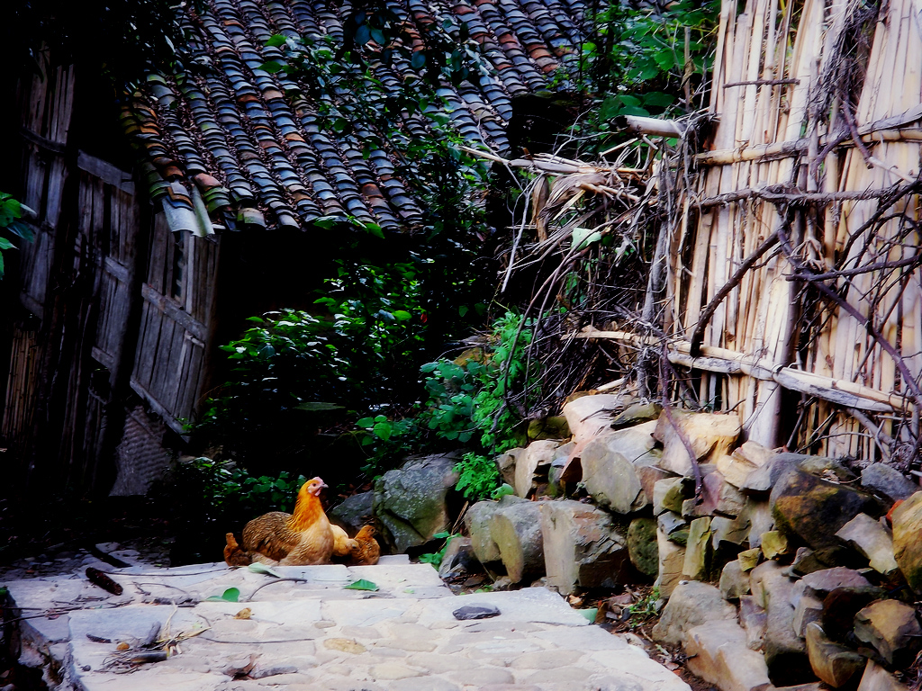 DSCF0735.jpg