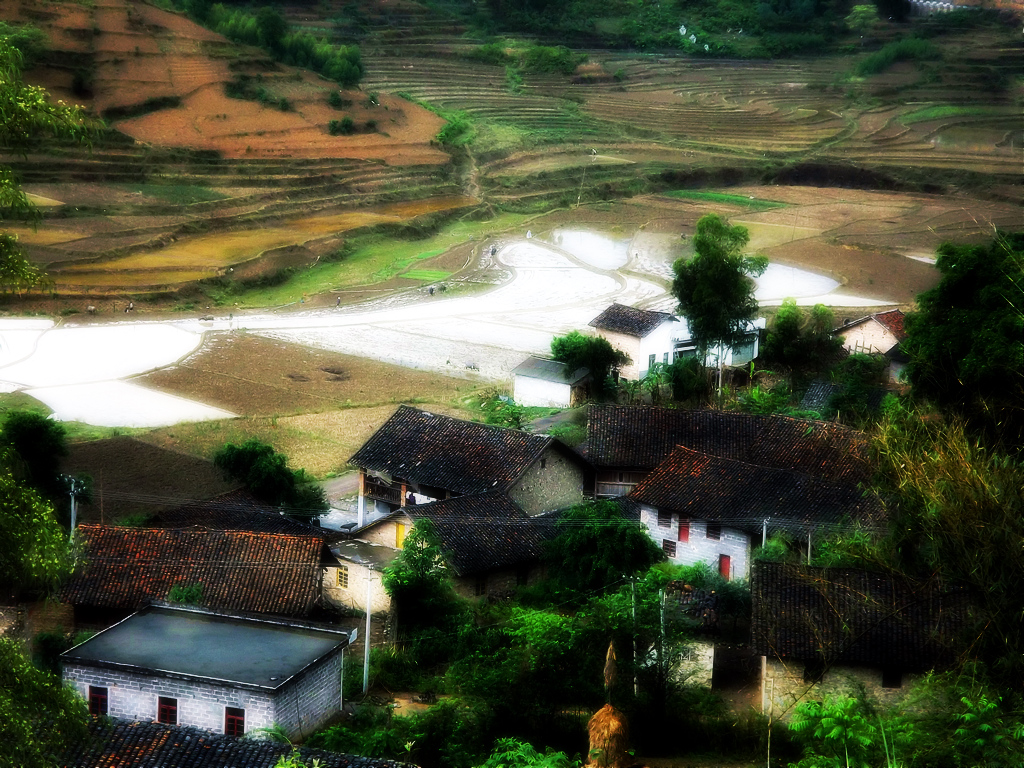 DSCF0889.jpg