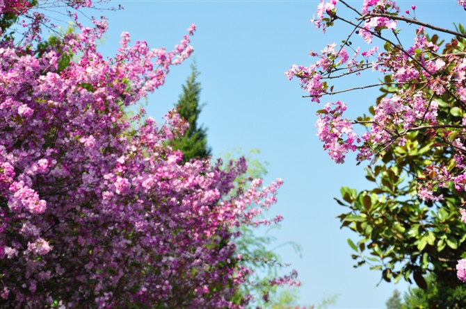 psbCAAHBPNP.jpg