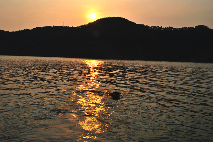 DSC_0055.JPG
