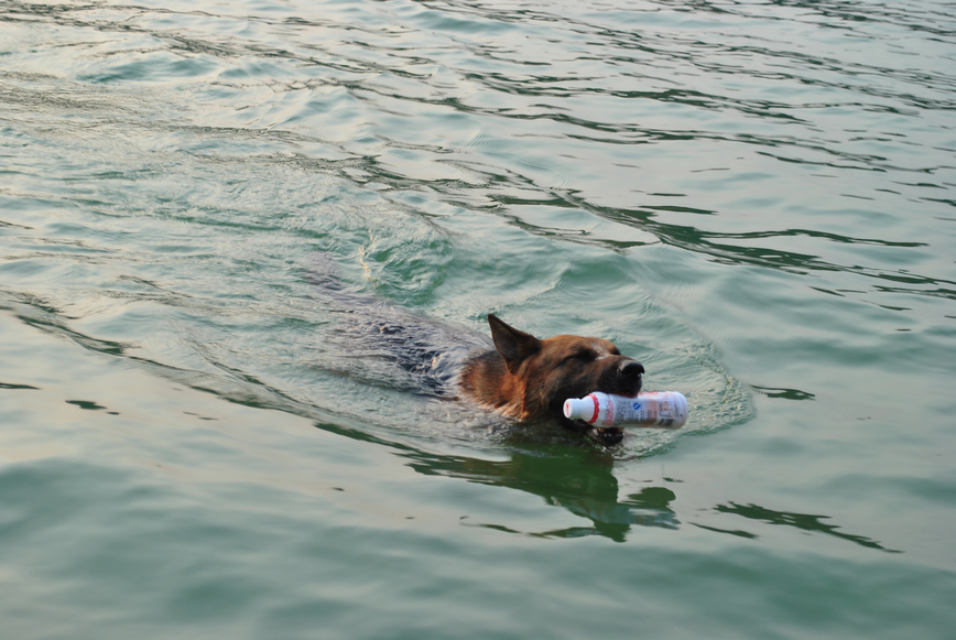 DSC_0063.JPG