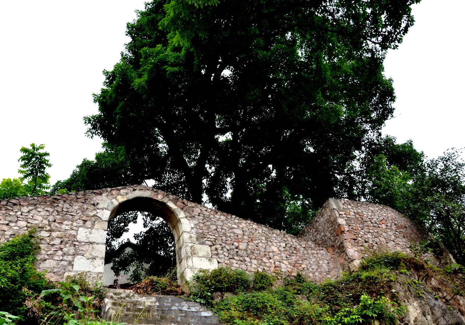 DSC_0668.JPG