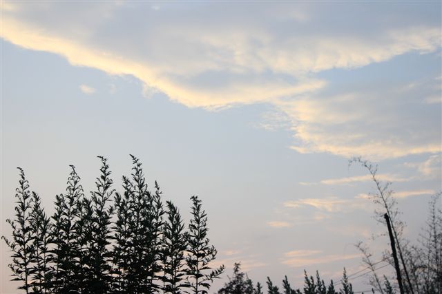 IMG_1794.JPG