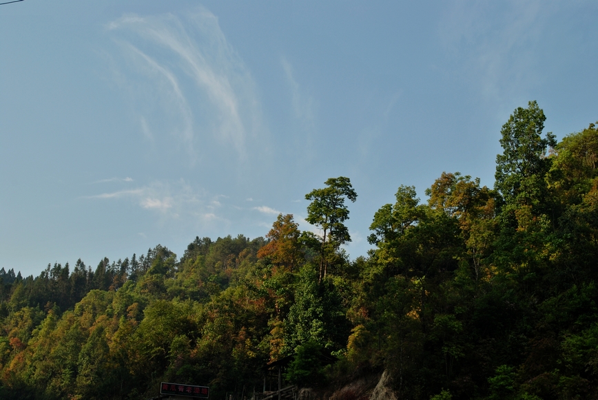 DSC_0242.JPG