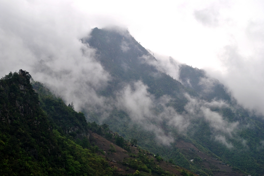 DSC_0521.JPG