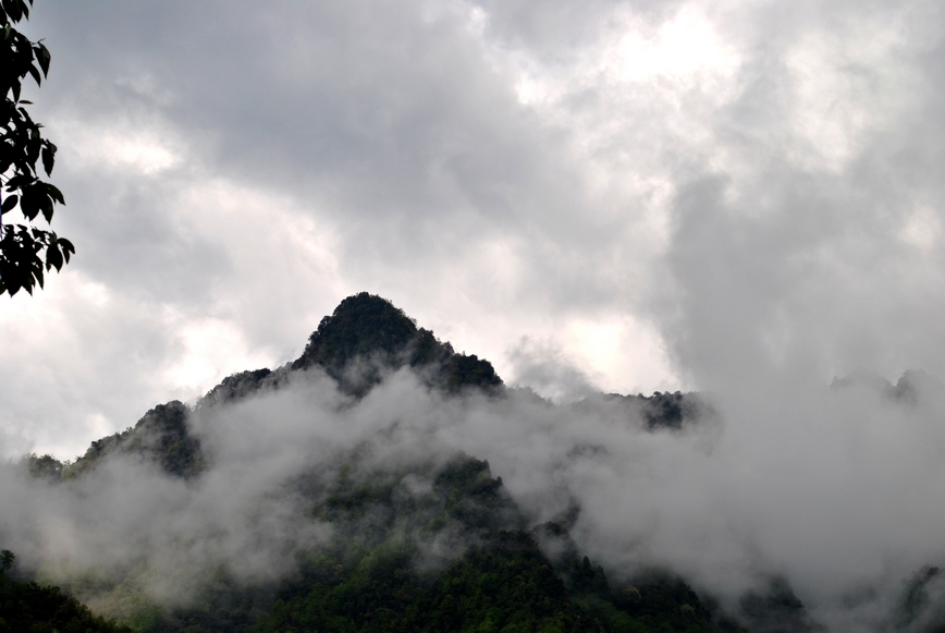 DSC_0737.JPG