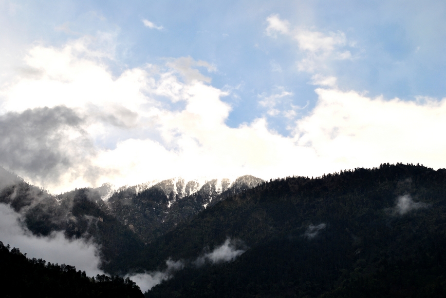 DSC_0922.JPG