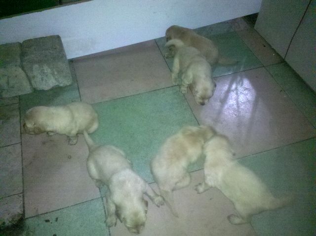 2012-05-03_22-55-46_437.jpg