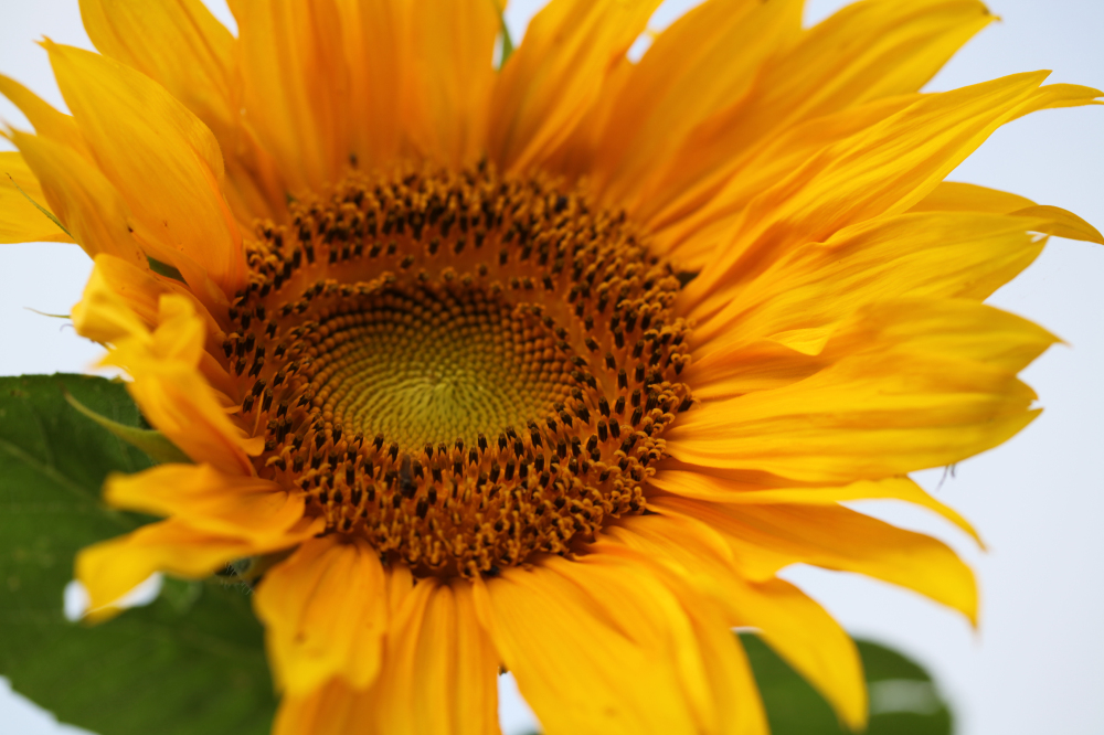 2012-06-09 422.jpg