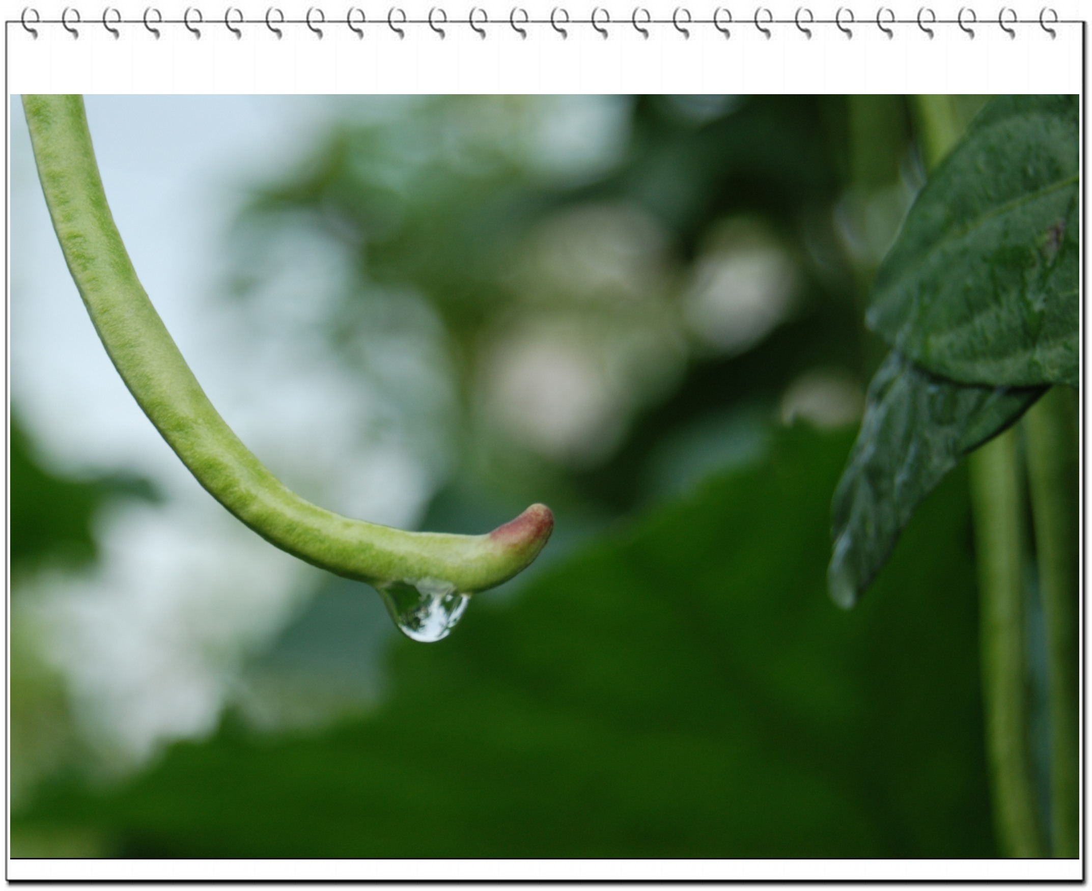 DSC_0468.jpg