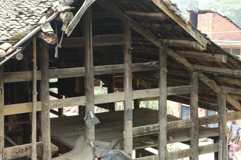 Ƭ 045.jpg