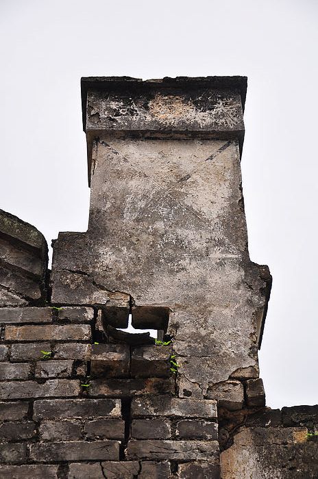 DSC_7419.jpg