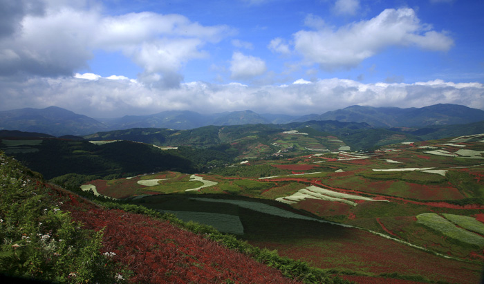 IMG_5883-2jpg.jpg