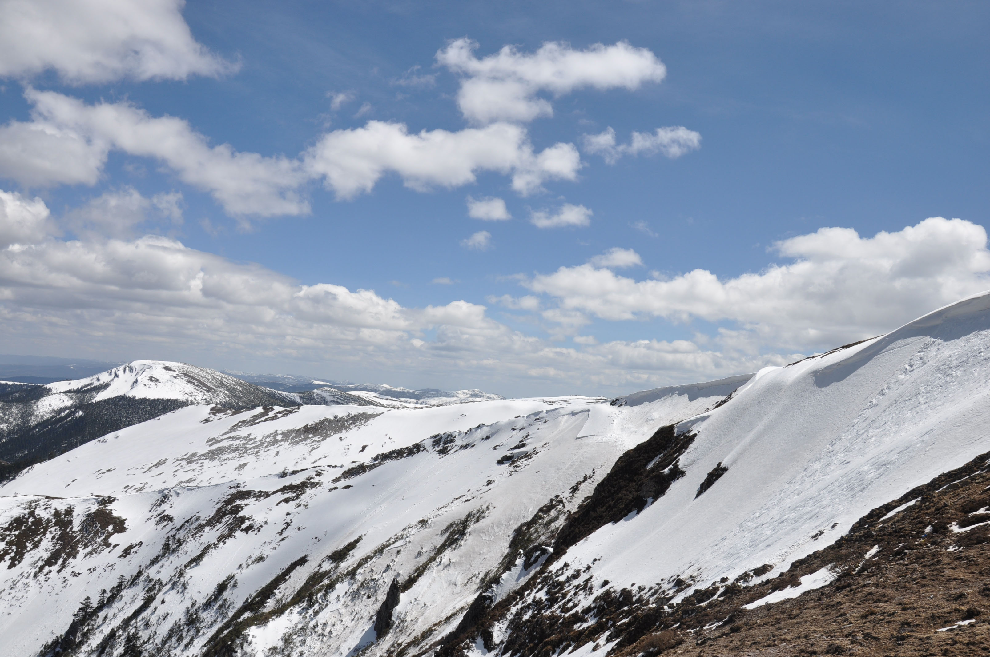 dsc_0776.jpg