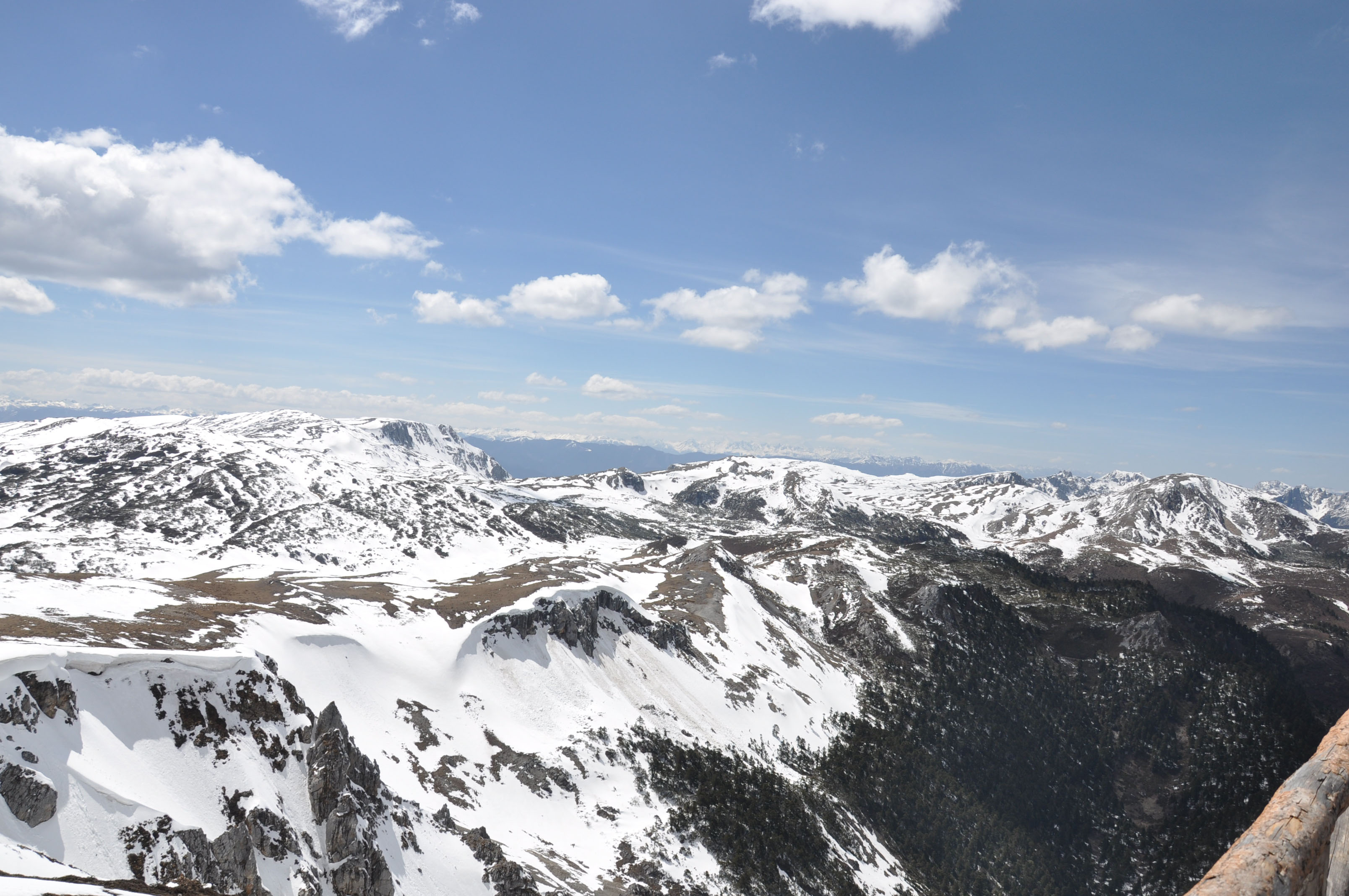 dsc_0825.jpg