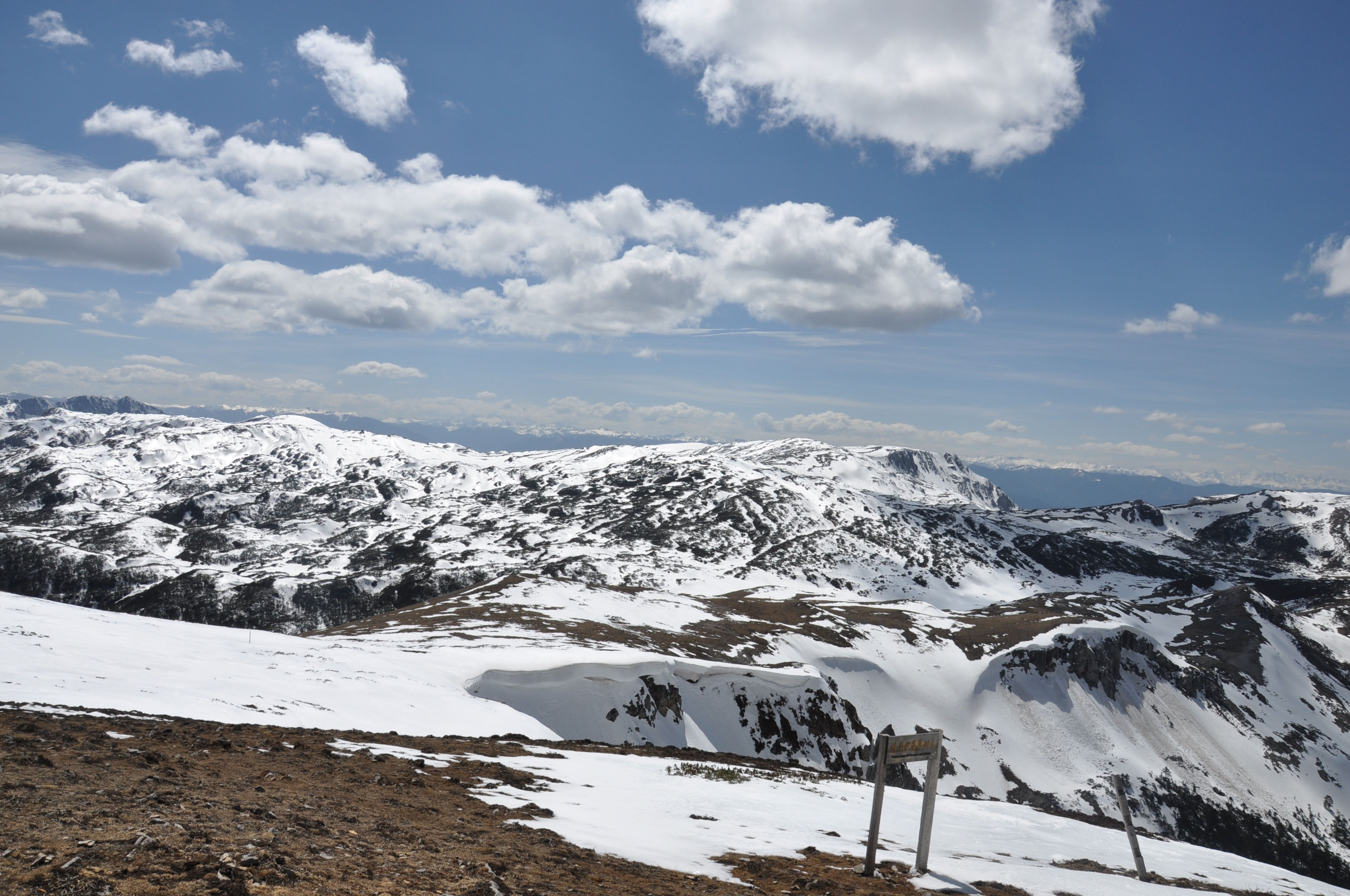 dsc_0858.jpg