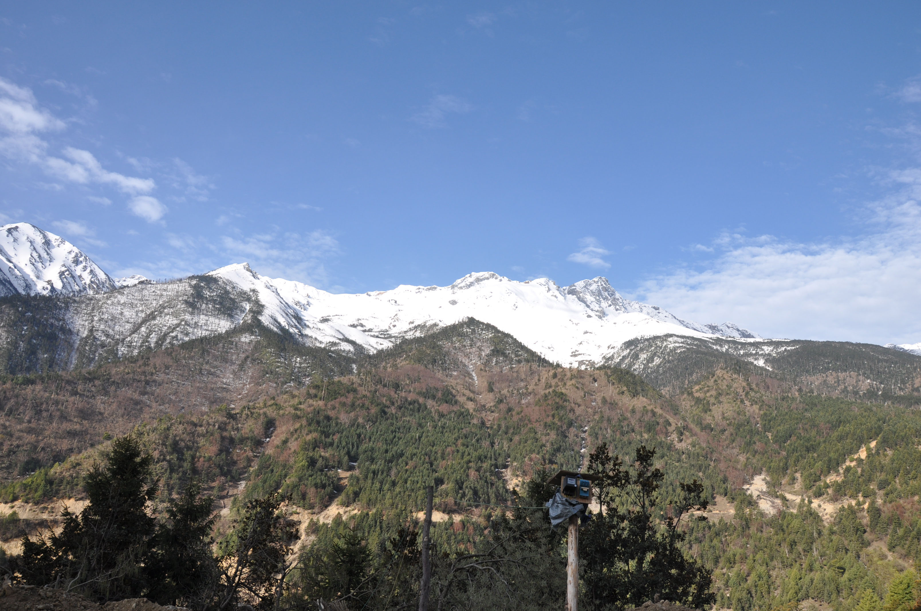 dsc_1116.jpg