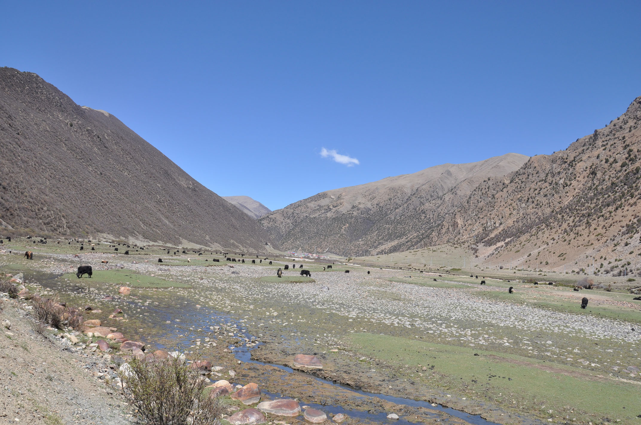 dsc_0010.jpg
