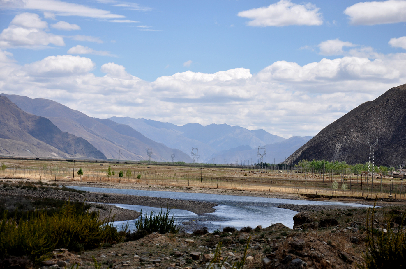 dsc_0083.jpg